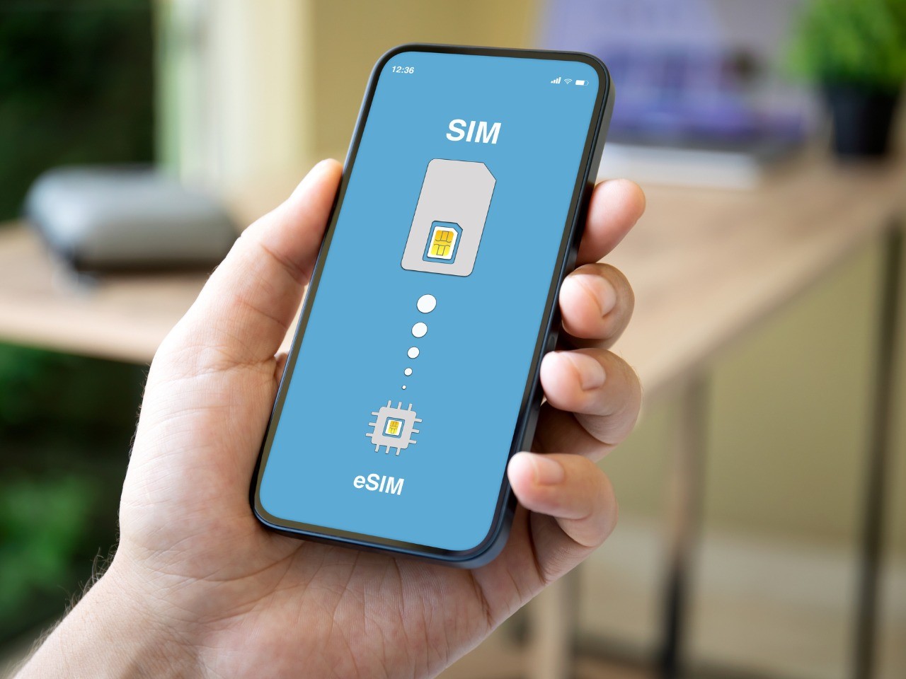 esim.jpg
